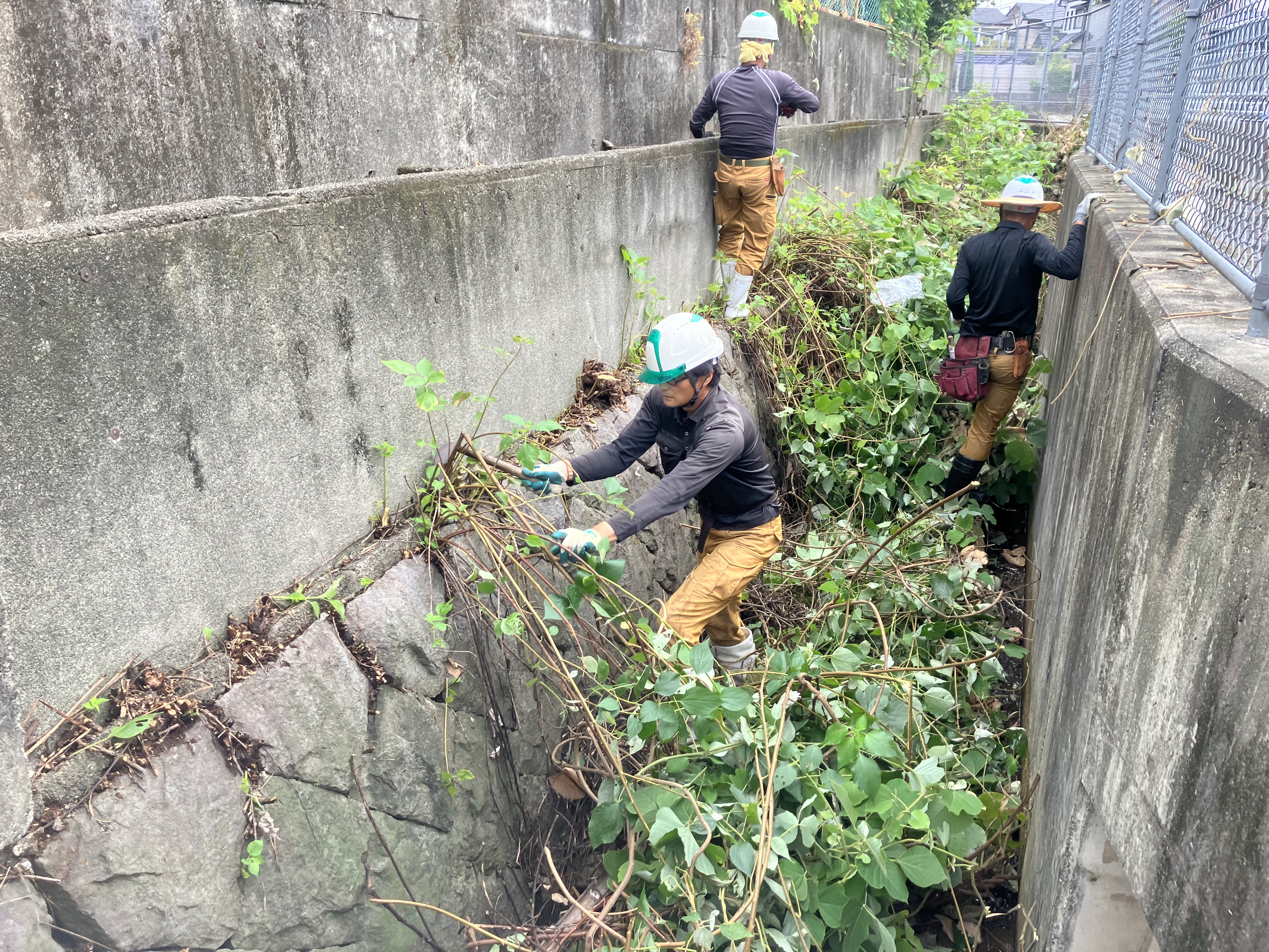 水路と調整池の除草作業を行いました。