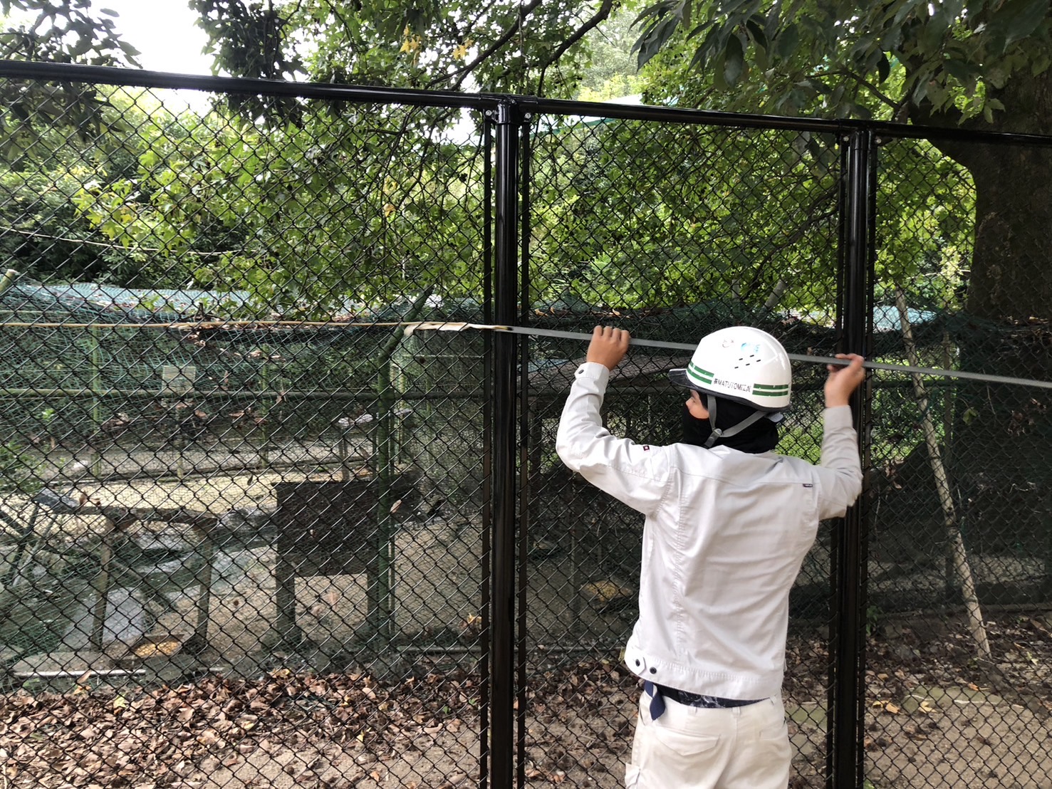 動植物園の鹿の放飼場改修工事を行っております
