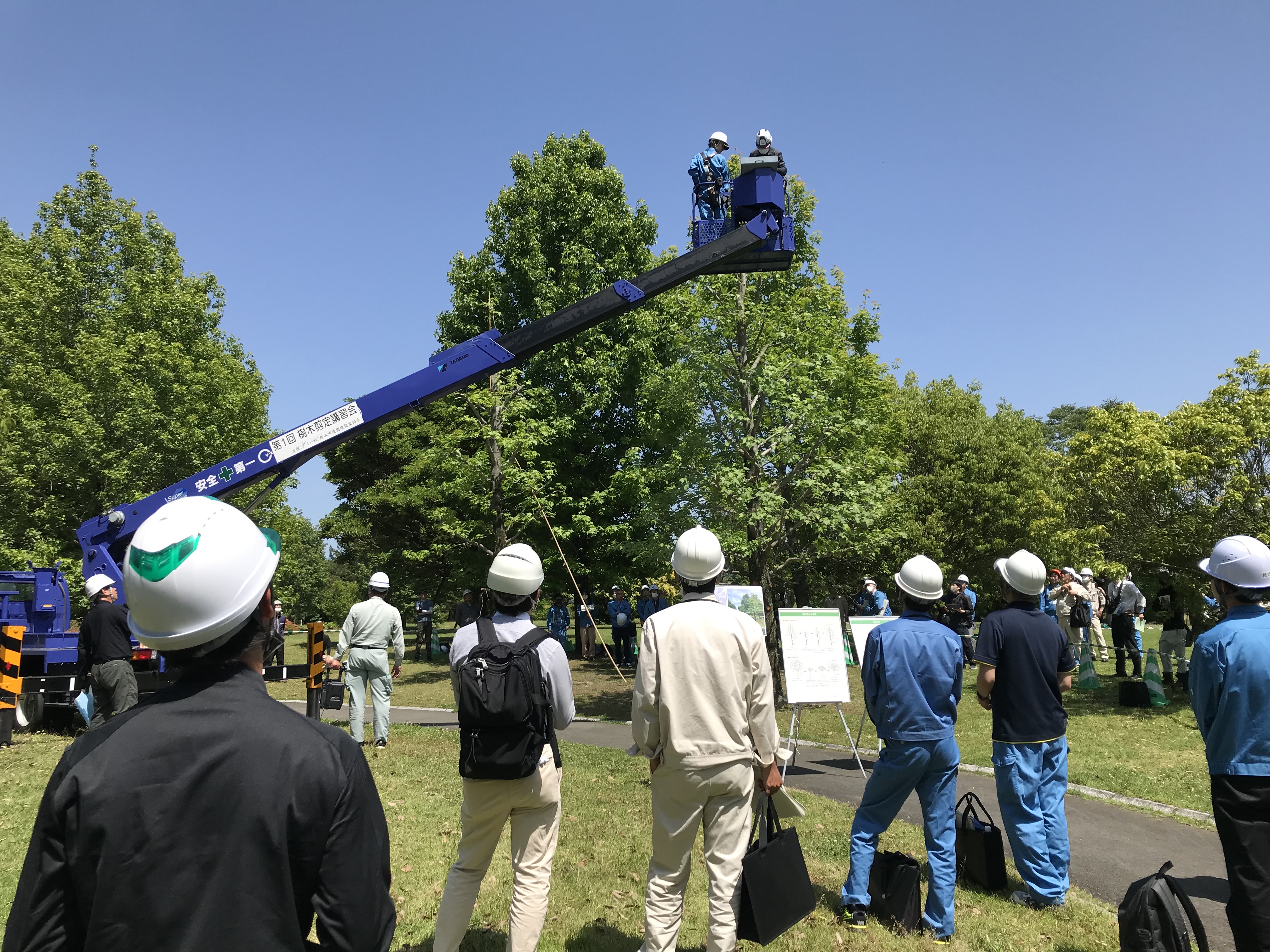 熊本市造園建設業協会主催の第一回樹木剪定講習会が行われました。