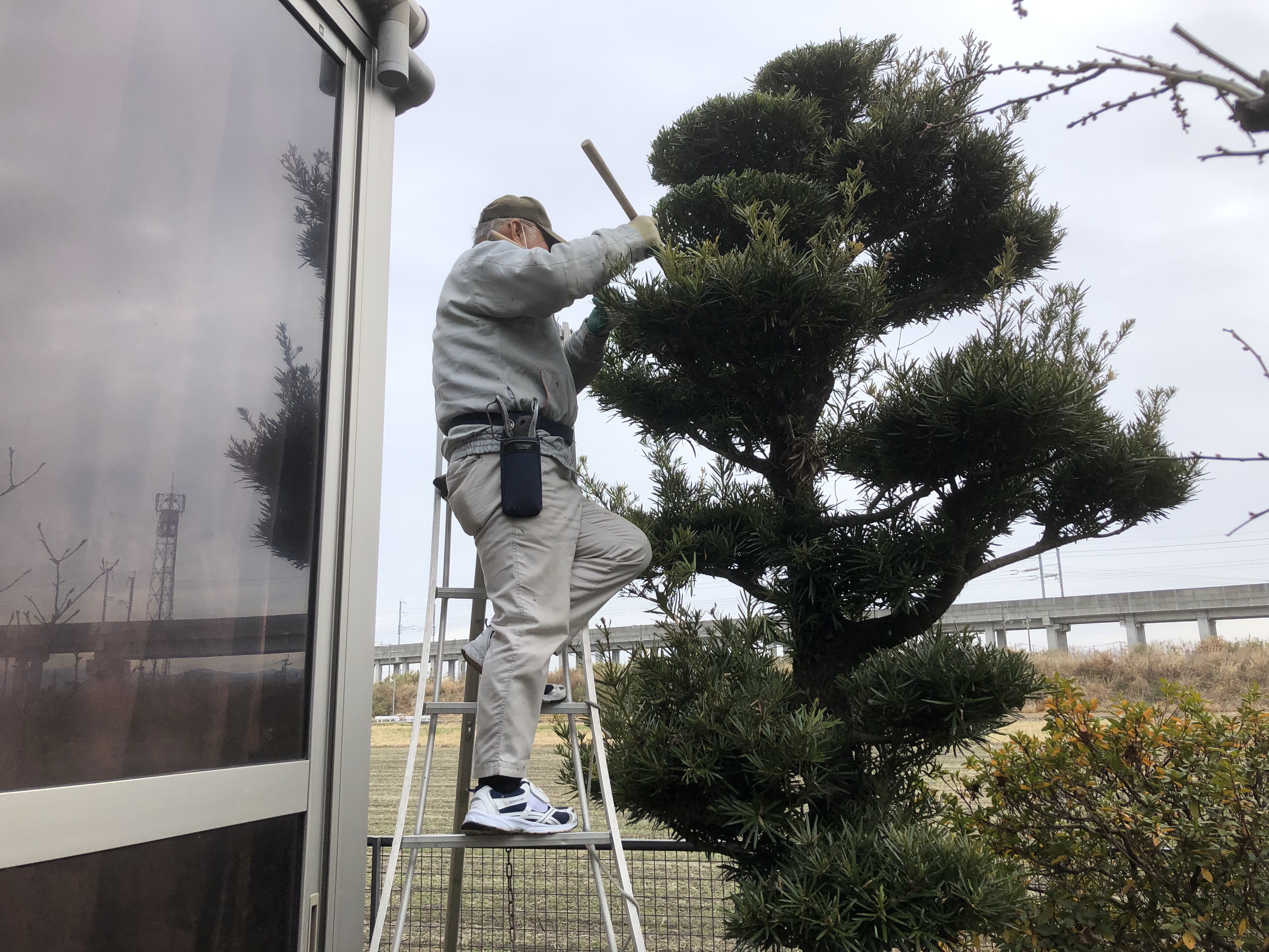 K様邸　樹木剪定