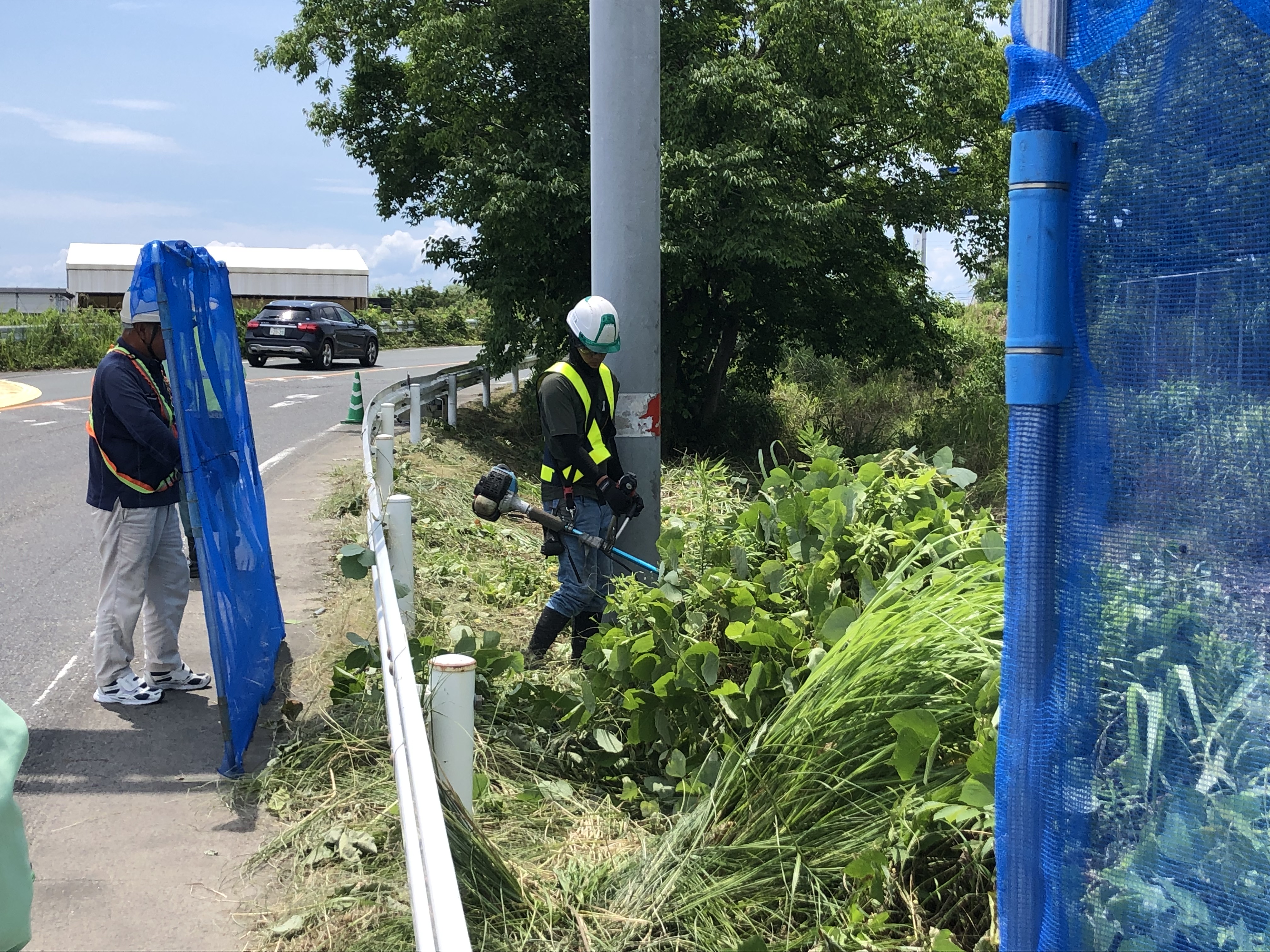 県道229号線の除草作業