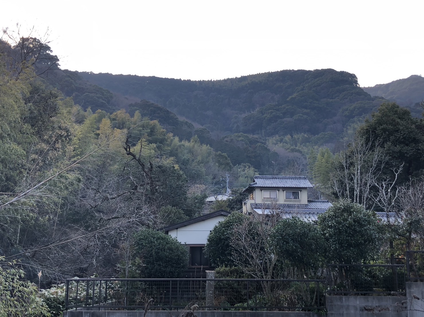 熊本市西区の個人邸で伐採作業を行いました。