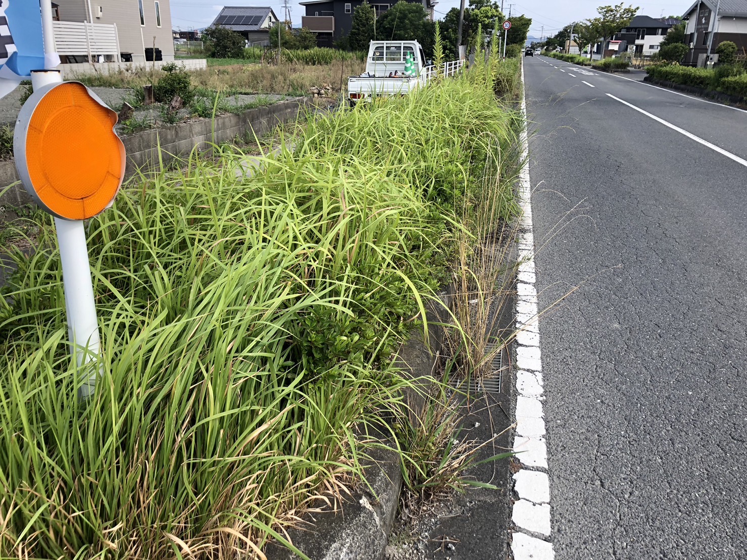 富合小学校正門前の道路沿いの低木の剪定と除草をしました。