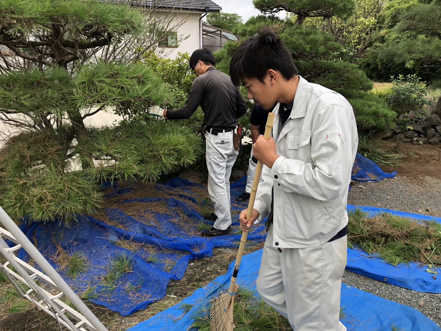 インターンシップの学生さんが来ました。