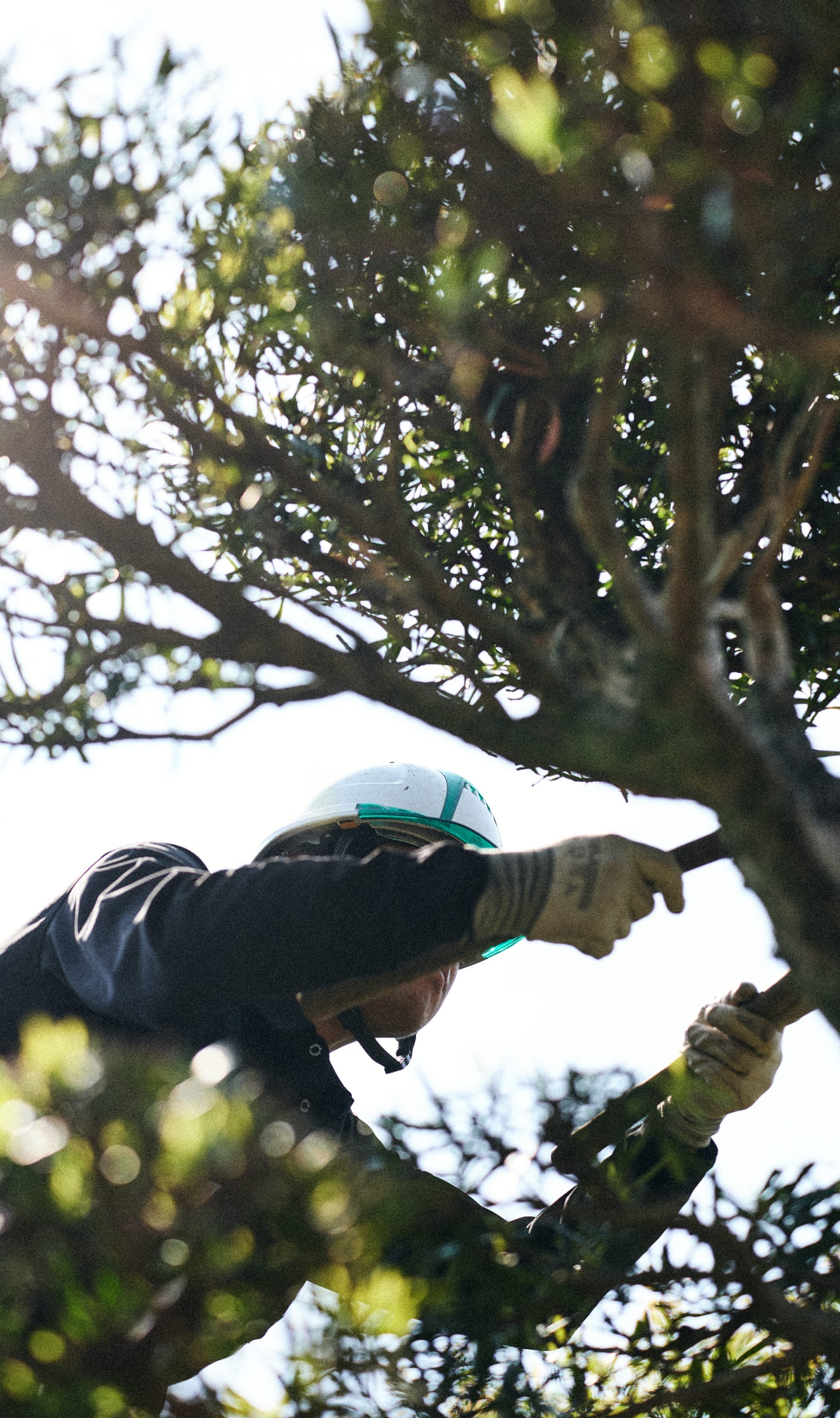 緑豊かな景観を、確かな技術で支えるいづの造園