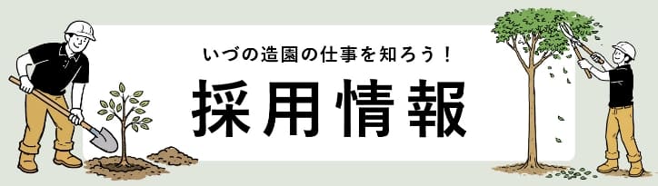 採用情報を見る