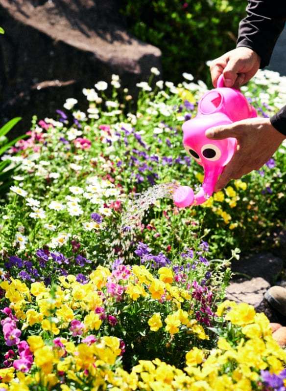 緑と向き合い、人と向き合ういづの造園について