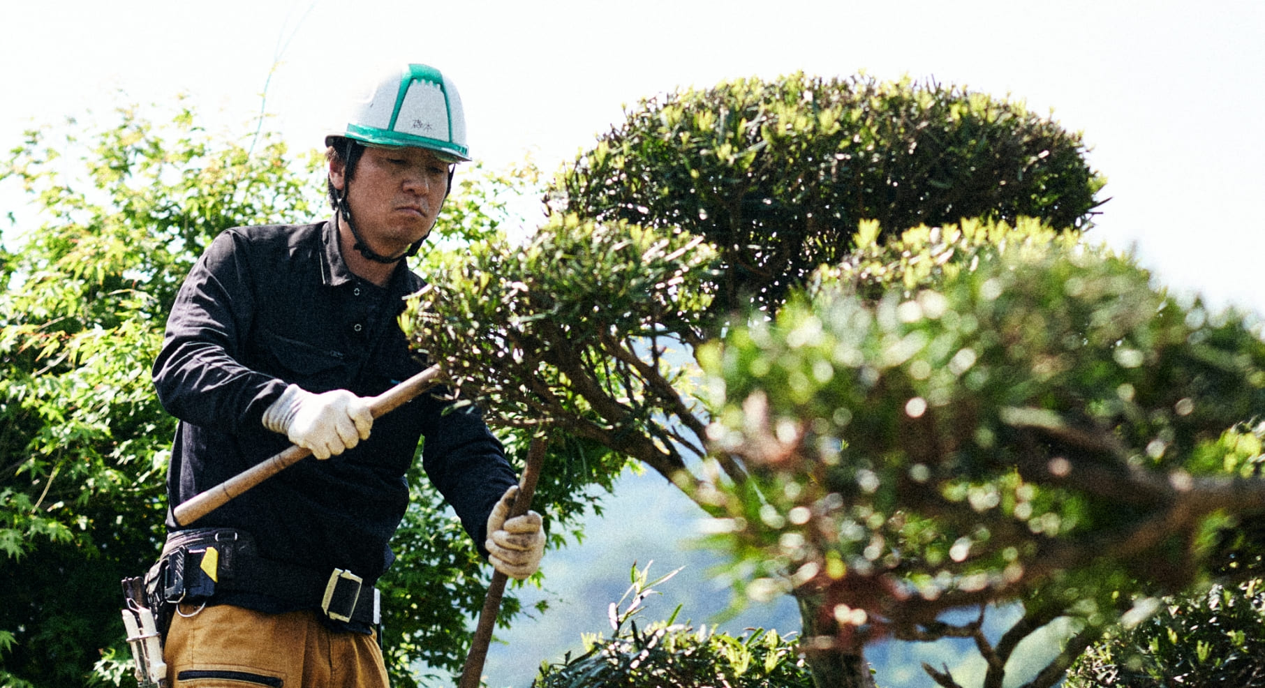 地域に寄り添い、風景を守り育てる事業案内