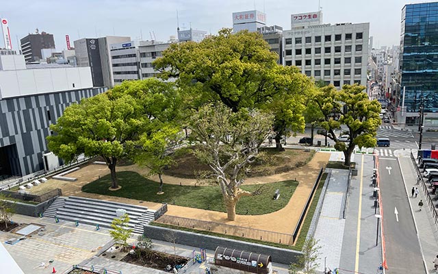 花畑公園再整備工事