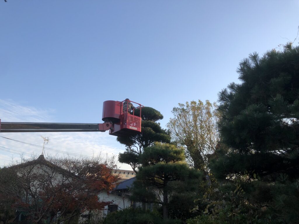 Y様邸　樹木剪定