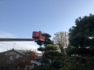 Y様邸　樹木剪定