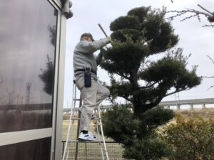 K様邸　樹木剪定