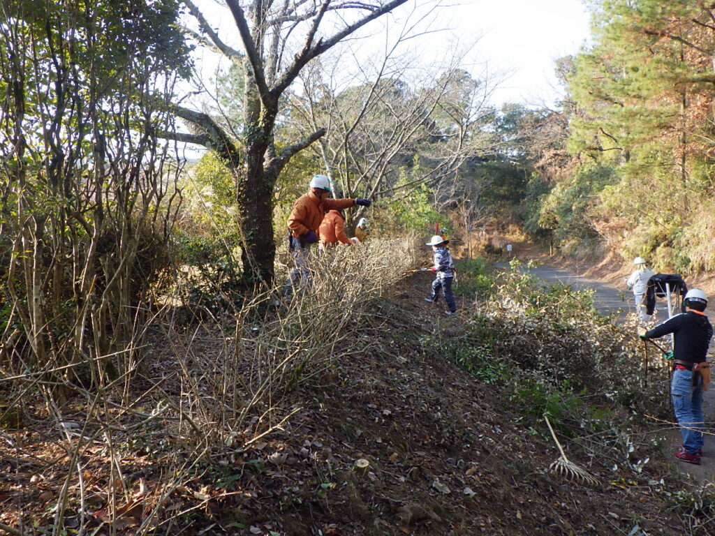ボランティア活動　雁回公園　低木剪定