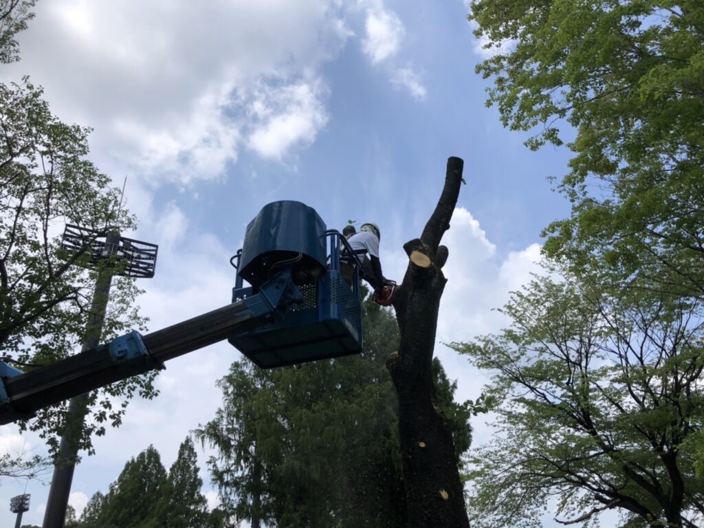 熊本県民総合運動公園にて、伐採業務を行いました