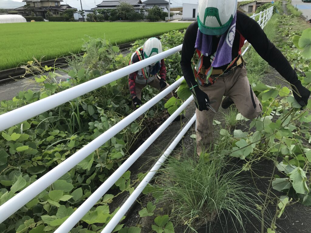 平木橋周辺（県道501号線）の除草をおこなっています
