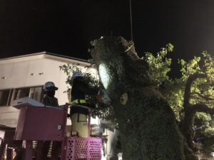 樹齢３００年と言われている樹木の伐採作業を行いました。