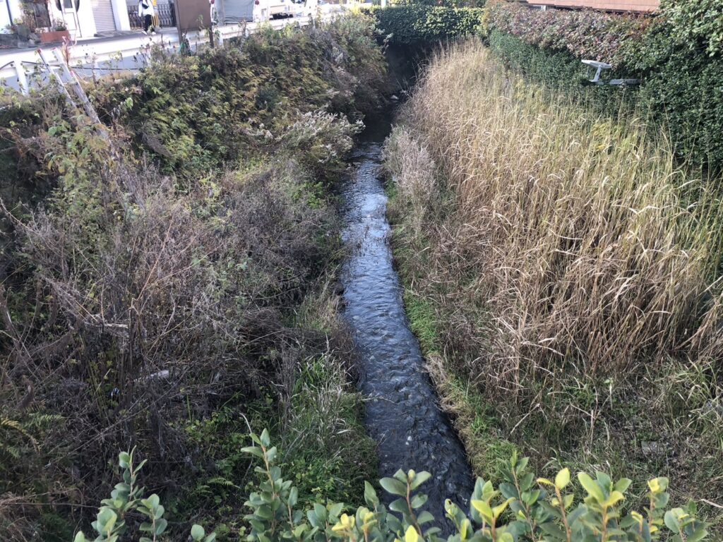 渡鹿堰の除草作業