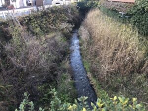 渡鹿堰の除草作業