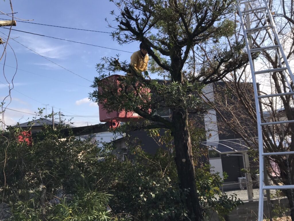 御船町の個人邸の剪定を行いました。