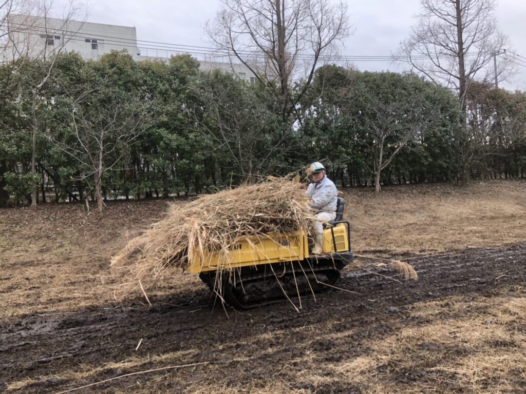 白藤団地の調整池の除草を行いました。