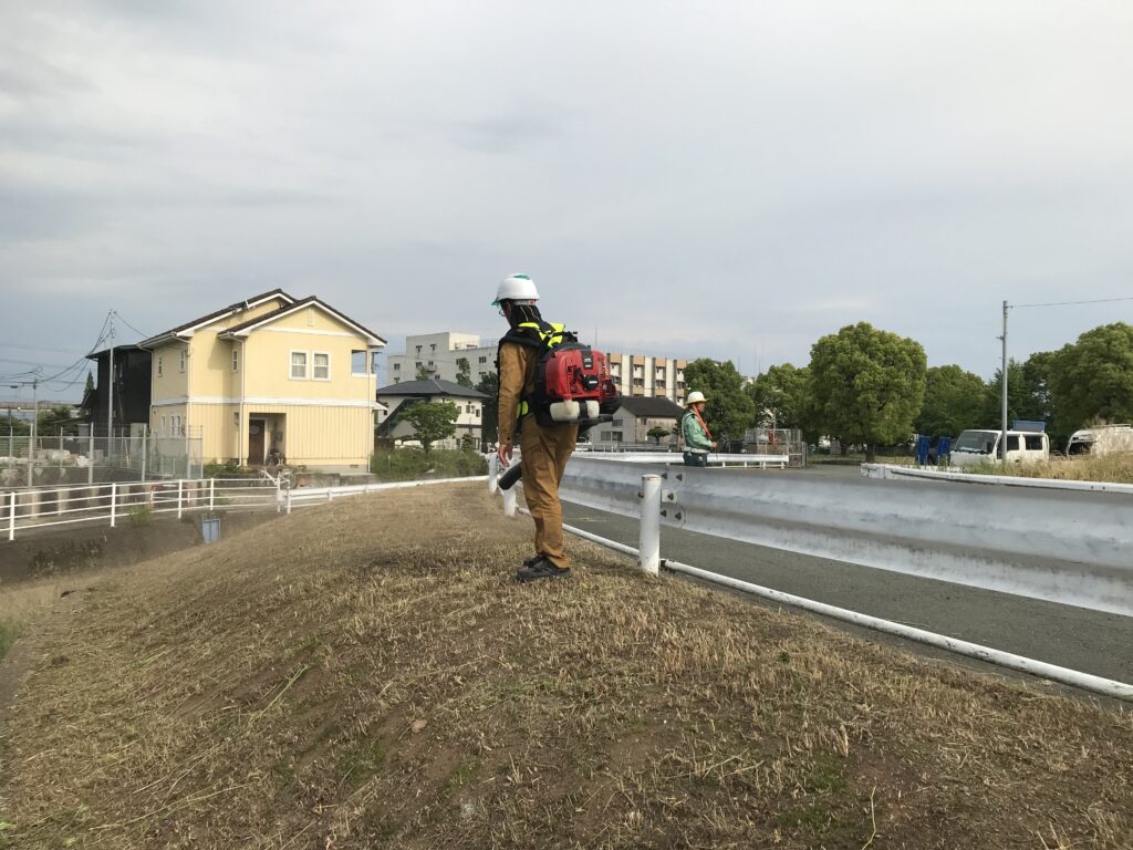 いづの造園に入社して一か月たった感想