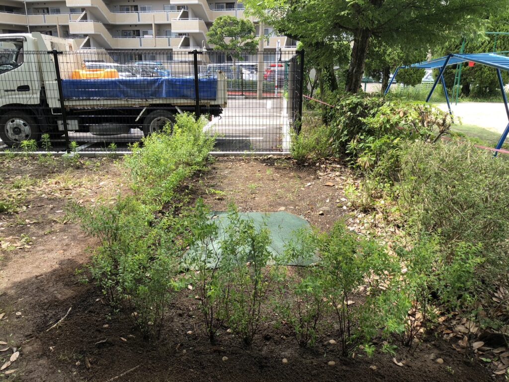 熊本市西区の保育園の植栽　