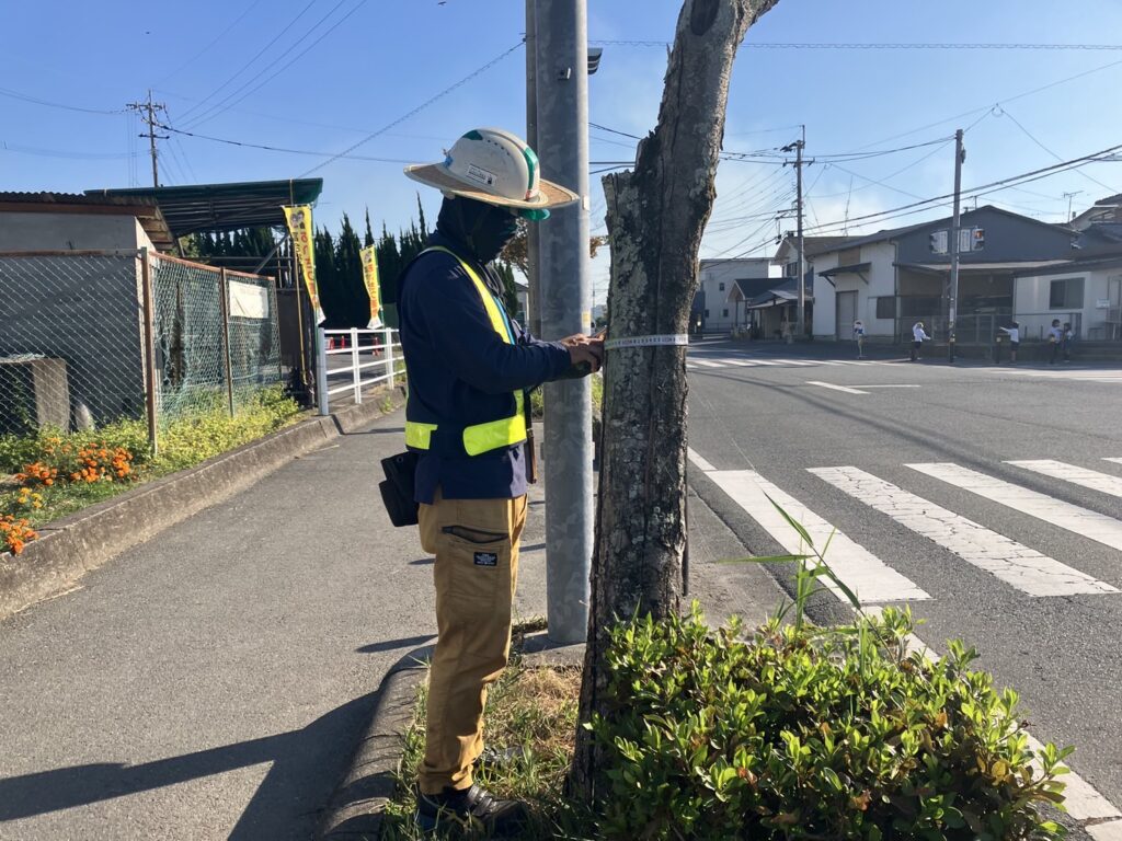 樹木調査に行ってきました。