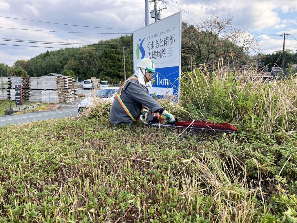 国道266号線の低木を剪定しました。