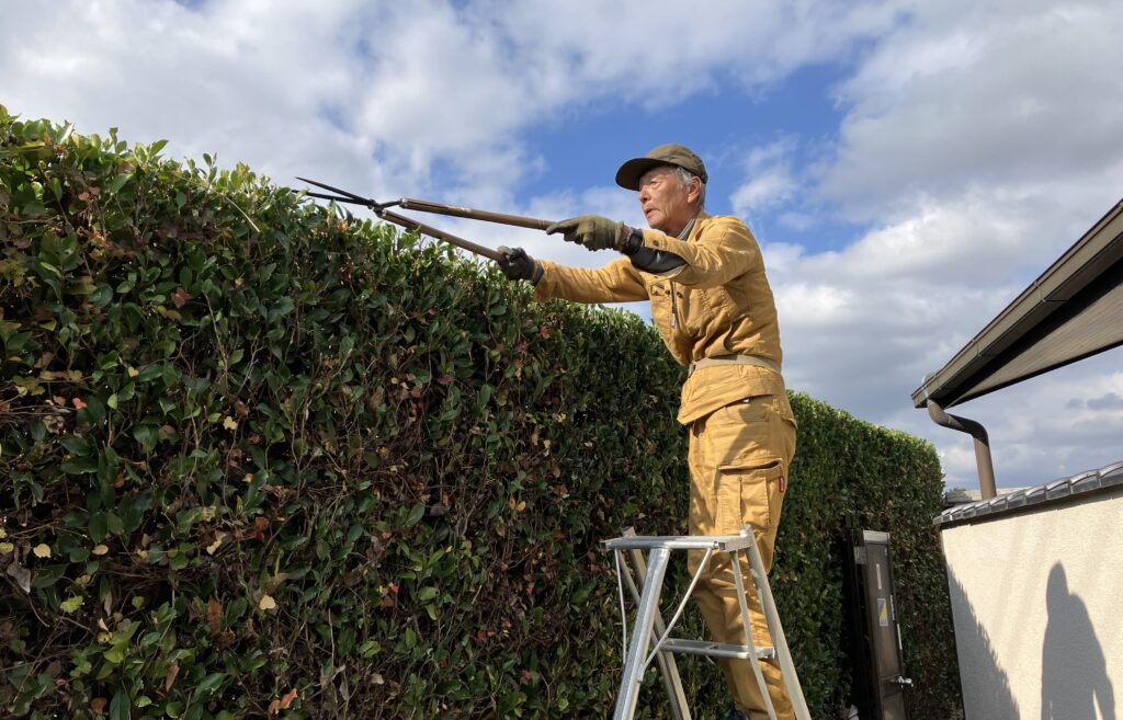 冬が到来しました