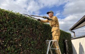 冬が到来しました