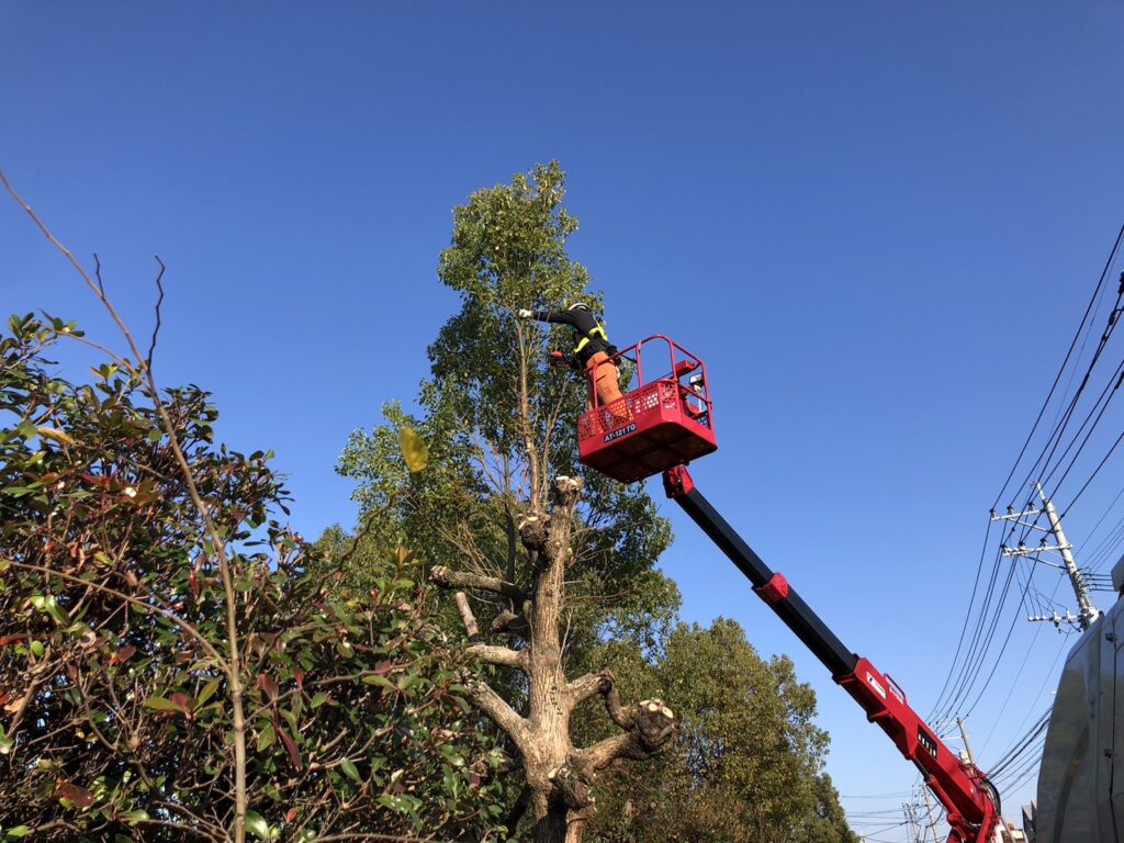 南部まちづくりセンターの樹木の剪定をしてきました。