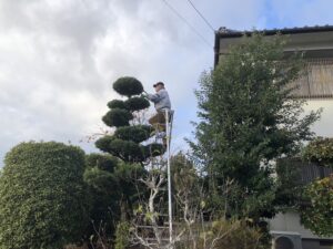 個人邸の剪定