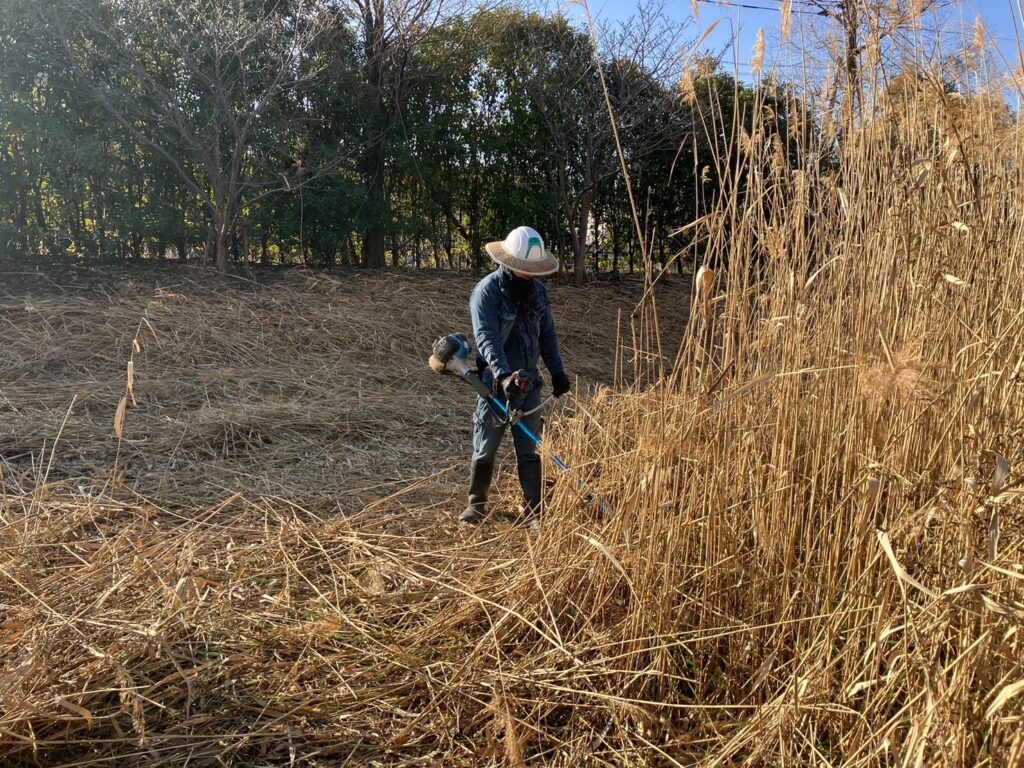 南区の団地の除草を行いました。