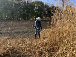 南区の団地の除草を行いました。