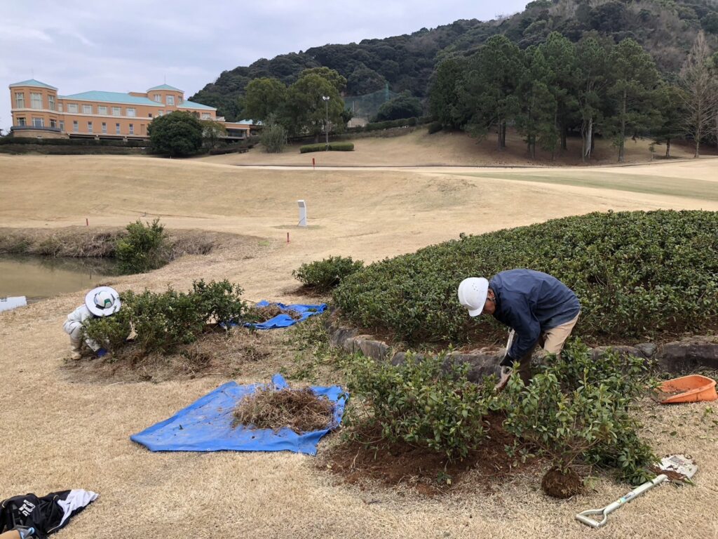 ゴルフ場の植栽を行いました。