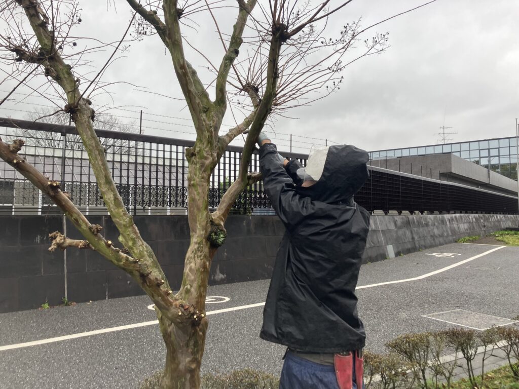 ボランティアに行ってきました。