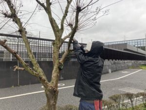 ボランティアに行ってきました。