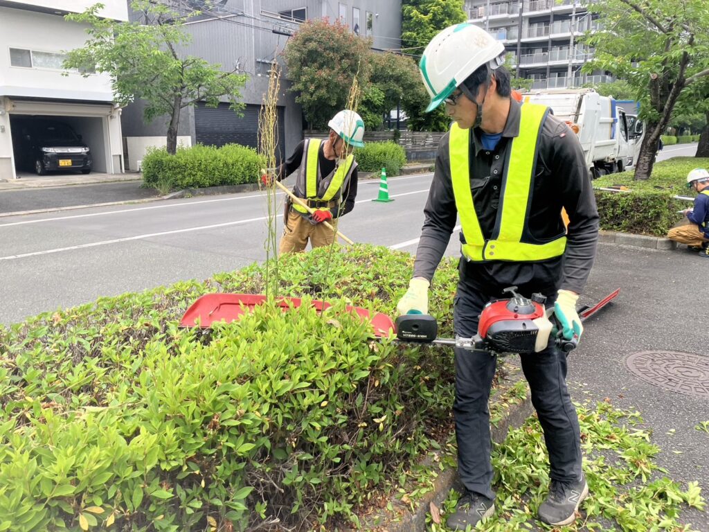 道路の剪定・除草を行っています。