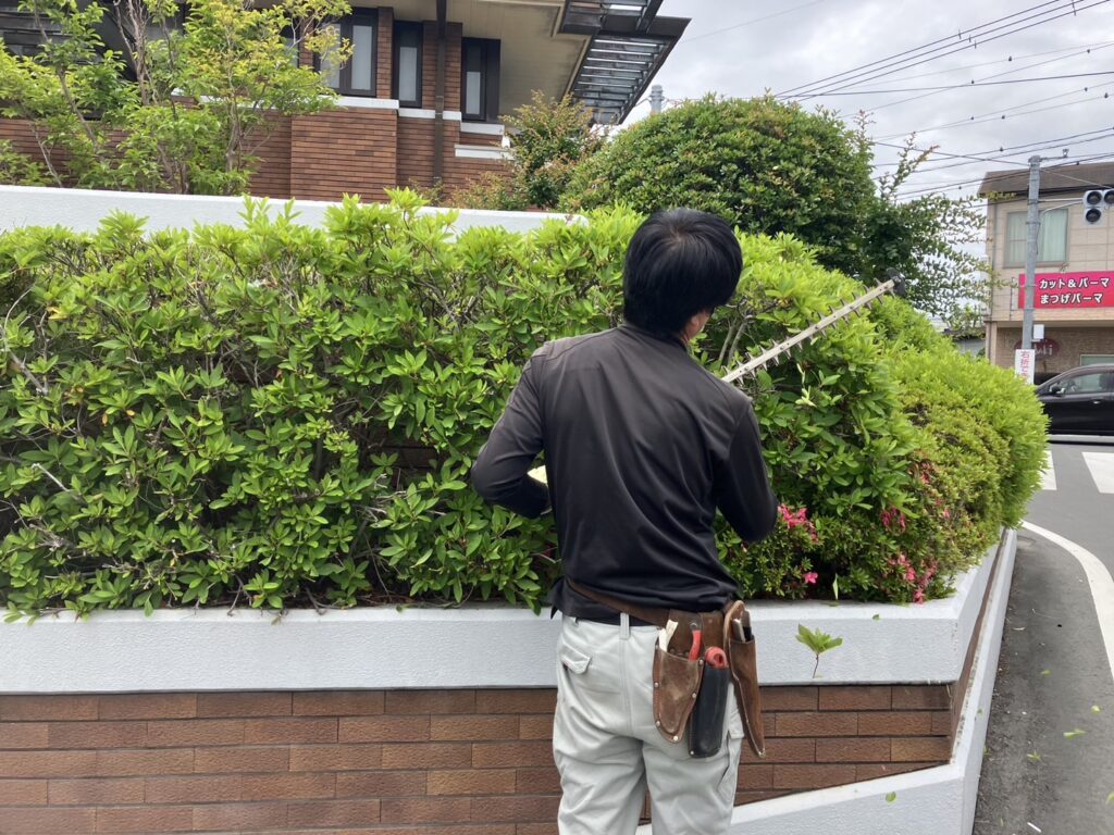 個人宅の剪定を行いました。