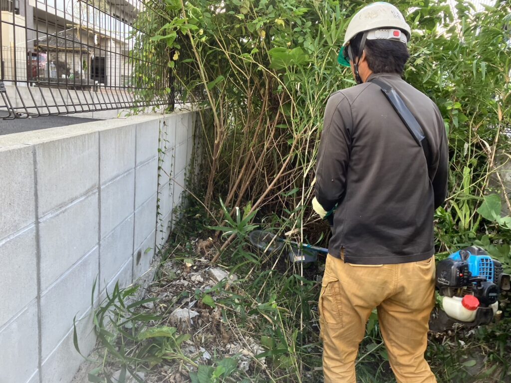 水路の除草を行いました