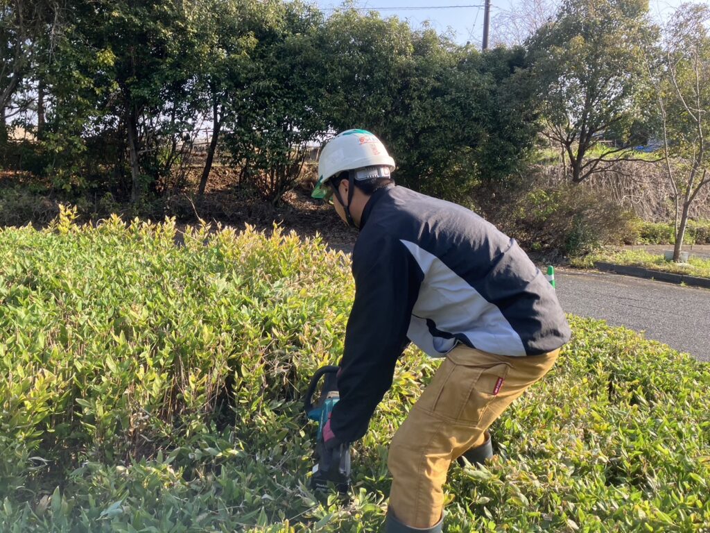 ボランティアを行いました