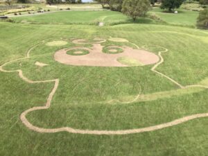 みなも祭りでボランティアを行いました。