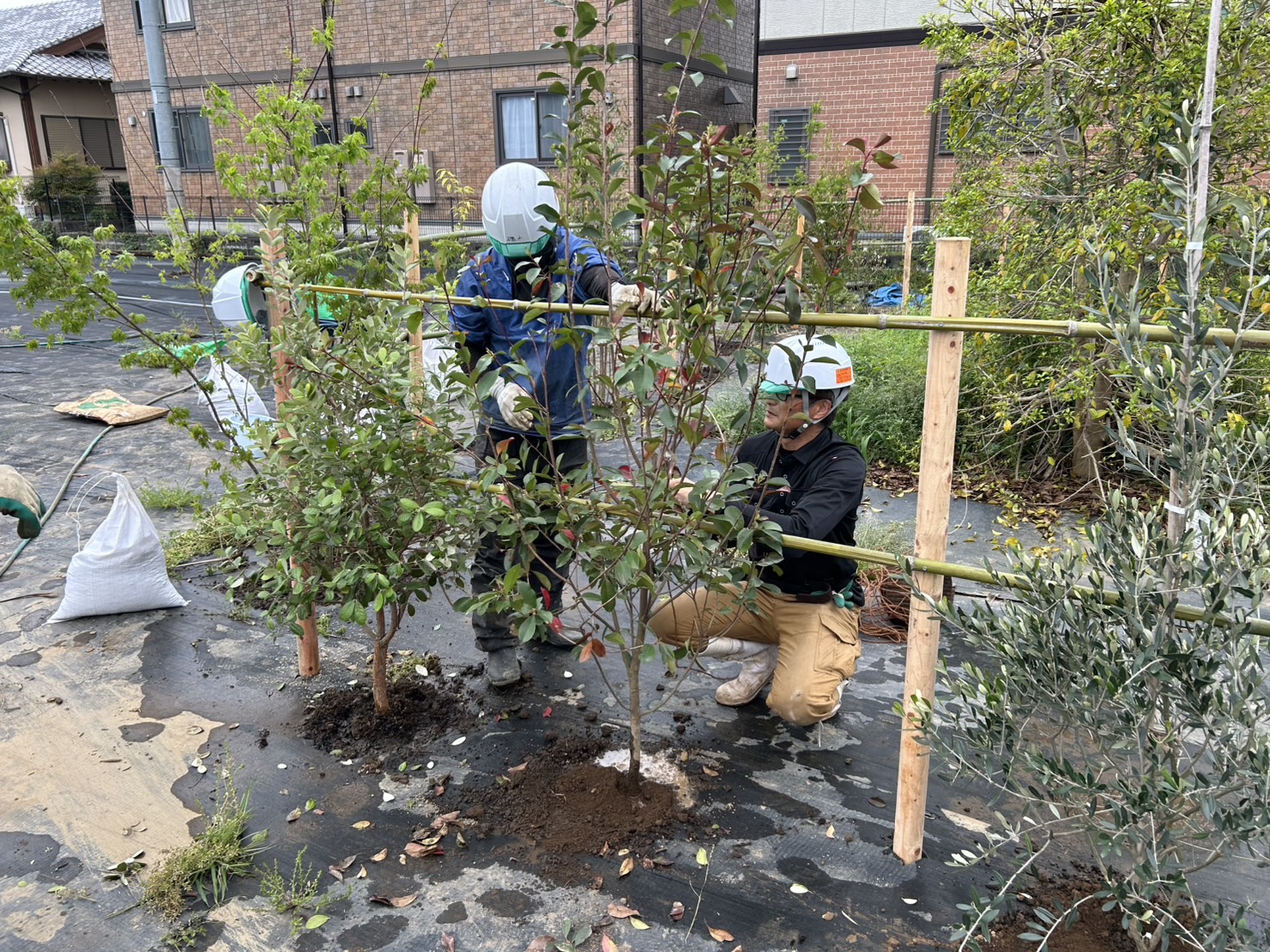 【熊本市南区】緑と彩りを添えるお庭づくり｜企業様敷地内の植栽工事
