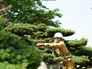 造園職人の1日の流れ。熊本の現場で働くいづの造園の仕事内容を紹介