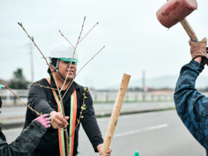 弱った木を残したいとき｜樹木診断と樹勢回復の考え方
