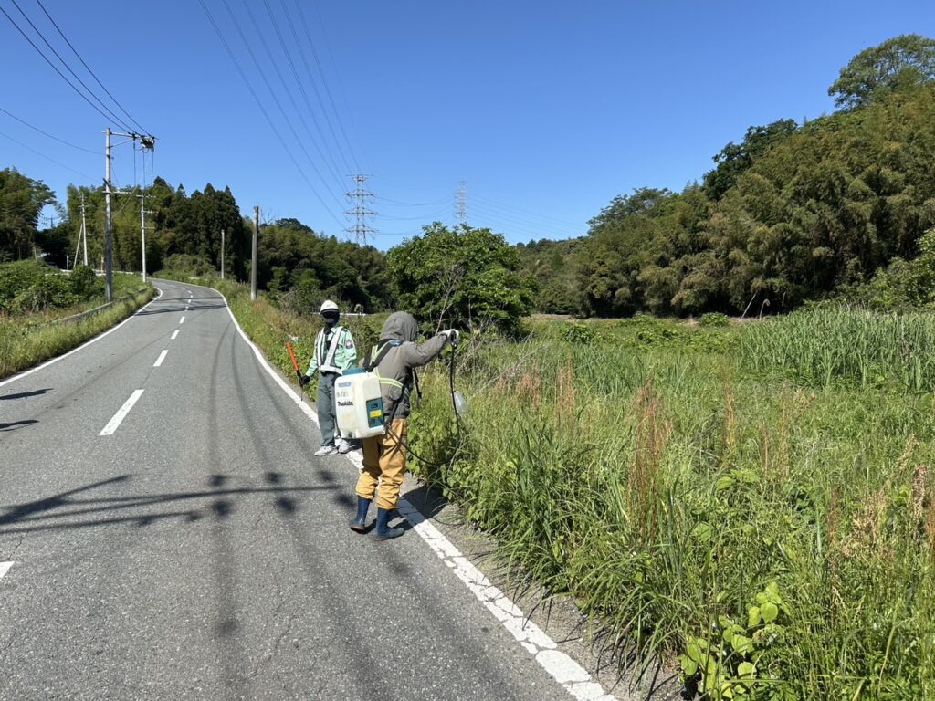 道路沿いの雑草対策の実施と先日導入した充電式噴霧器を使用しました
