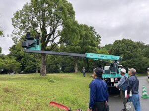 令和8年度 第1回樹木剪定講習会に参加しました