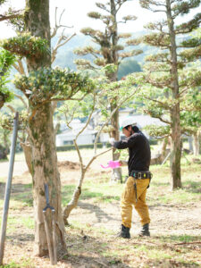 熊本の気候に合う植栽とは｜暑さ・台風に強い樹種の選び方