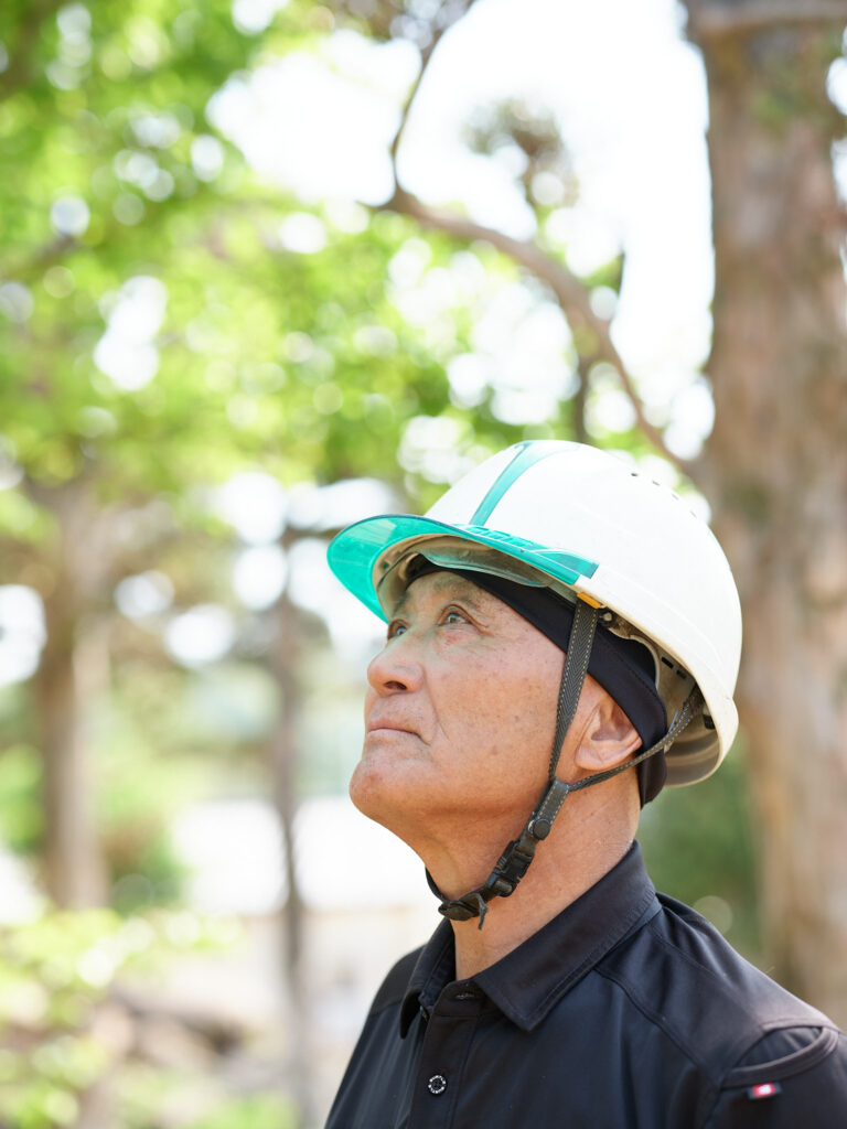 樹木を見上げて状態を確認する様子