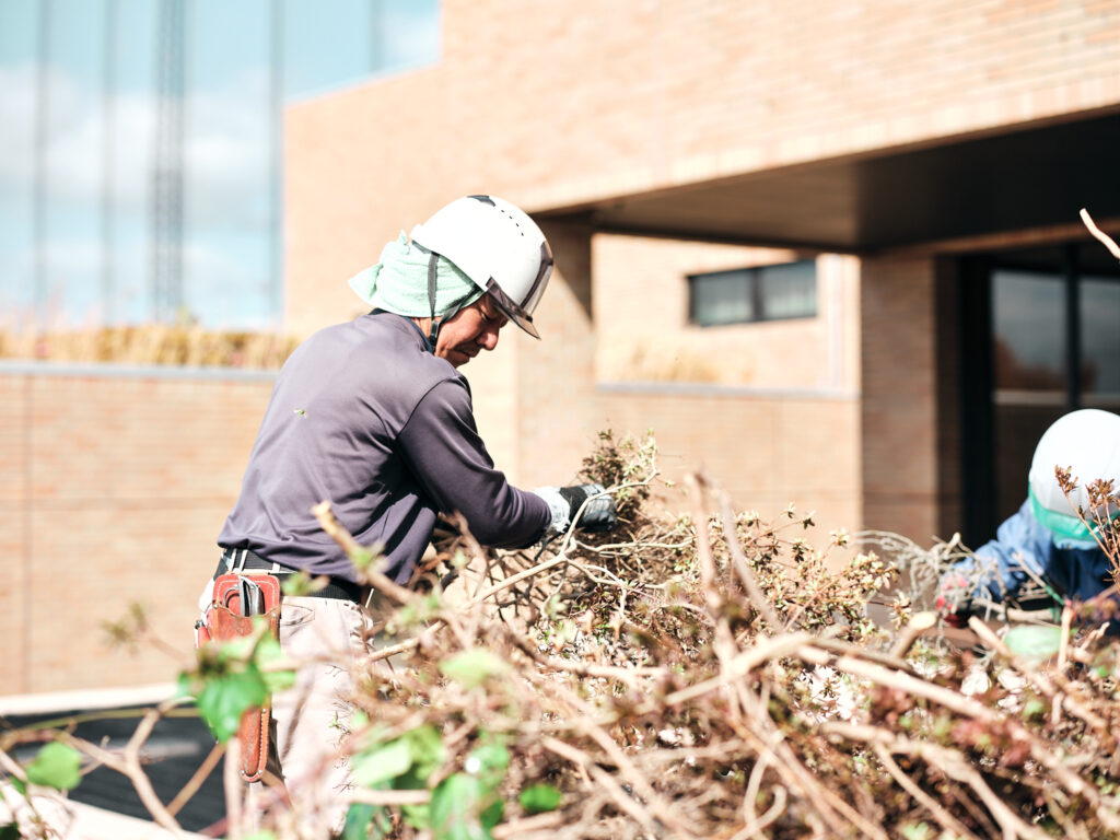 施設の植栽を整理する作業